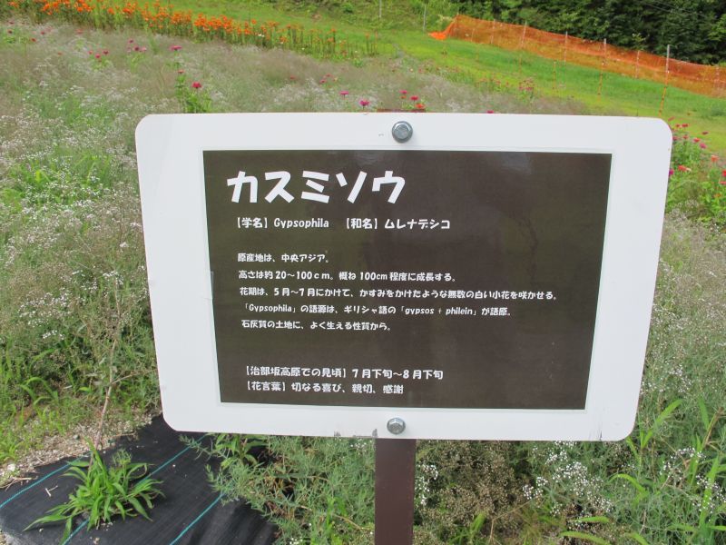努力と忍耐_f0076731_21501671.jpg
