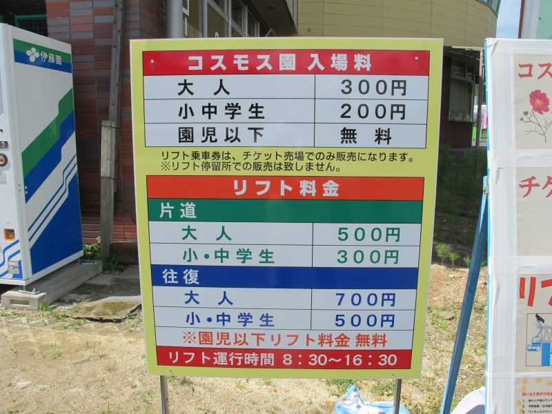 努力と忍耐_f0076731_21510867.jpg