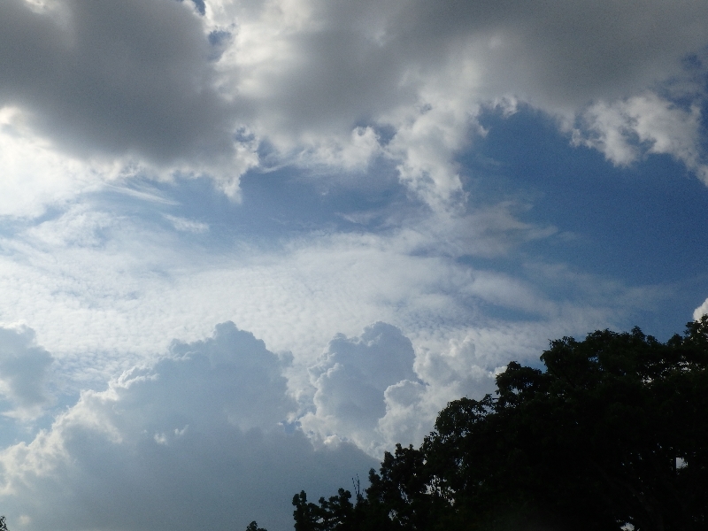 c0113733_23494638.jpg