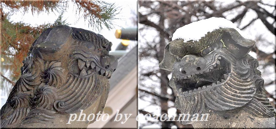 「白石神社」狛犬_a0315942_23022687.jpg