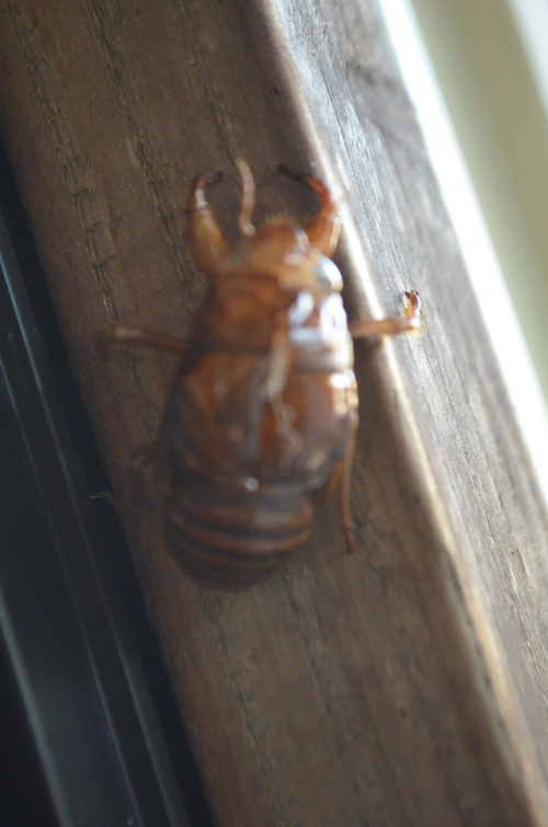 またまた?_b0207642_20275675.jpg