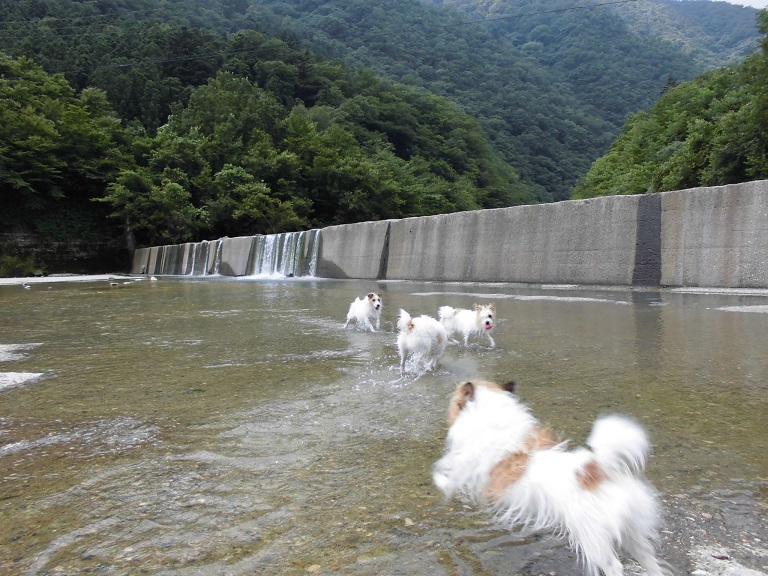 ココロに栄養♪　ひさかたぶりのお那須 ①_c0156345_17595519.jpg