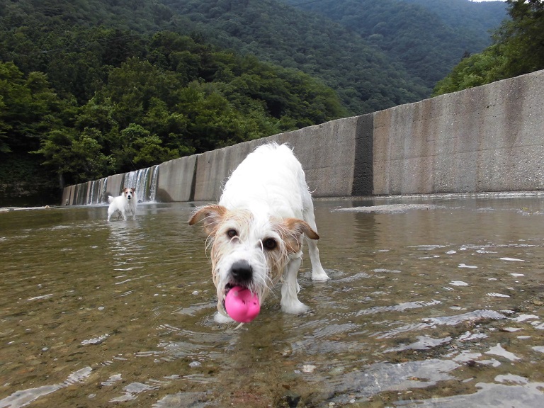 ココロに栄養♪　ひさかたぶりのお那須 ①_c0156345_18125100.jpg