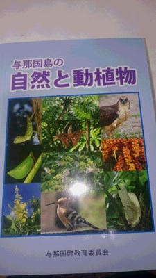 8月7日 タイフーン_b0158746_1654383.jpg