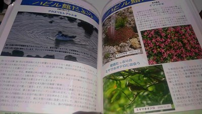 8月7日 タイフーン_b0158746_170132.jpg