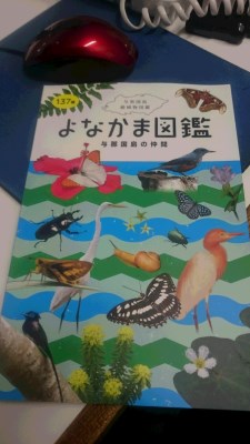 8月7日 タイフーン_b0158746_174363.jpg