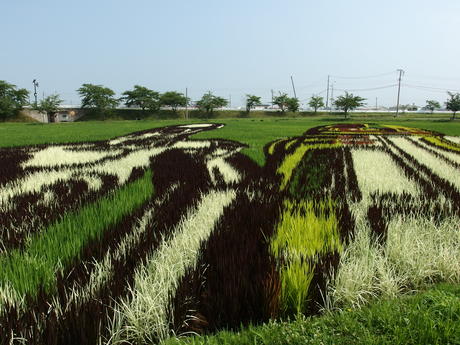 田舎舘村　-　奥入瀬　-　十和田市現代美術館　-　ねぷた_e0223950_83279.jpg