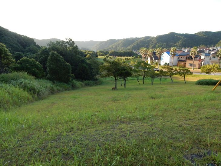 ’15,8,7(金)朝散歩は一石三鳥!_f0060461_11273961.jpg