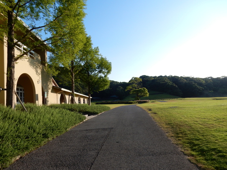 ’15,8,7(金)朝散歩は一石三鳥!_f0060461_11335973.jpg