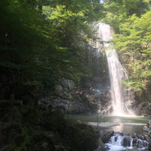 f0256164_10594175.jpg