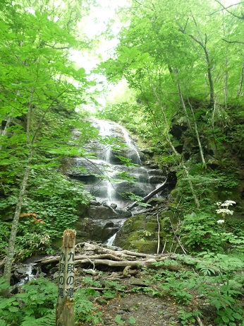 c0273271_99041.jpg
