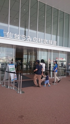 仙台うみの杜水族館へ_a0325875_15365745.jpg