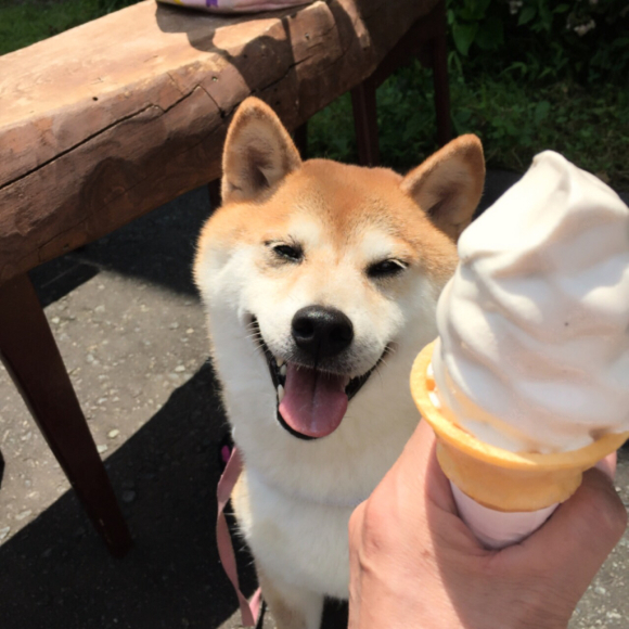 戸隠キャンプ五日目① さよなら戸隠_a0126590_13561568.jpg