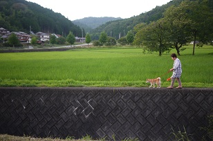 さんぽ_f0226293_84770.jpg