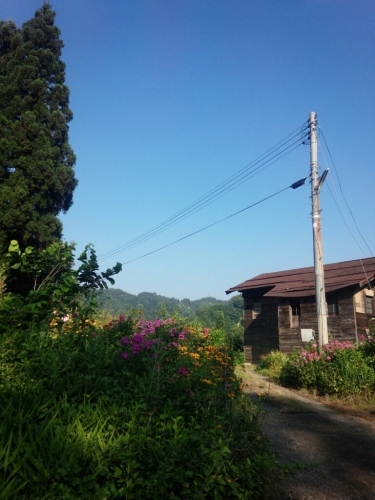 d0174598_20491569.jpg