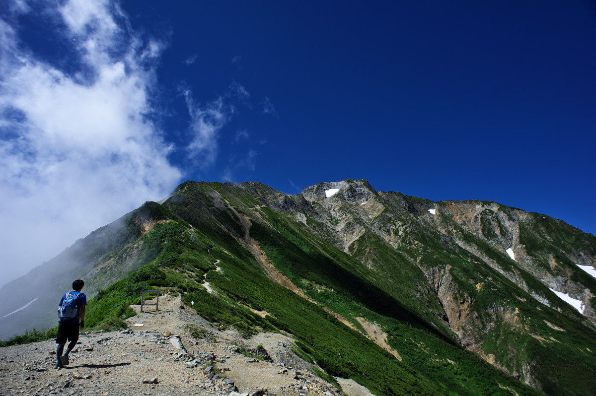 鹿島槍～五竜縦走 2nd　Day2.2～五竜～_c0169106_2261857.jpg