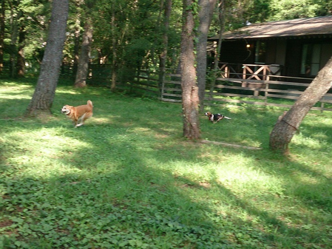 c0315313_14251010.jpg