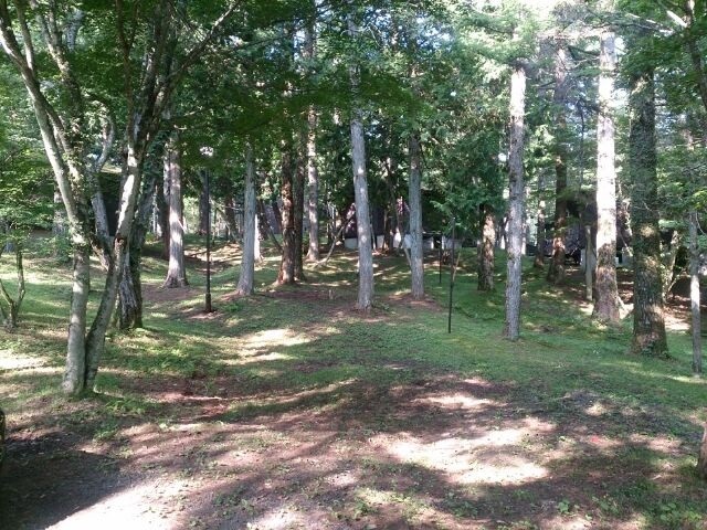 c0315313_14291629.jpg