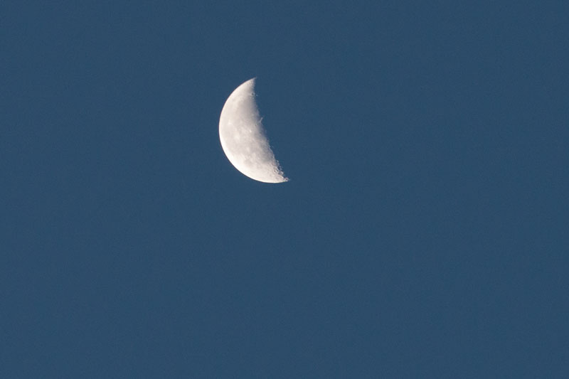 a0278914_6241384.jpg
