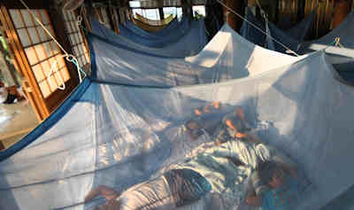 a0144016_07282344.jpg