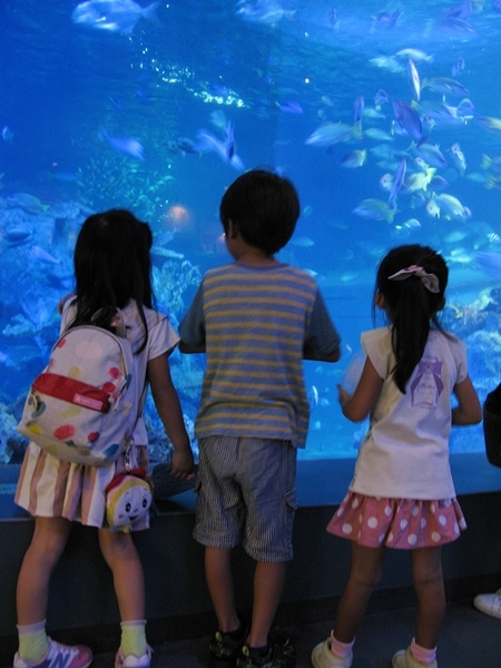 孫たちと水族館へ!_f0129726_22332126.jpg