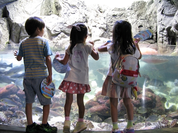 孫たちと水族館へ!_f0129726_22411274.jpg