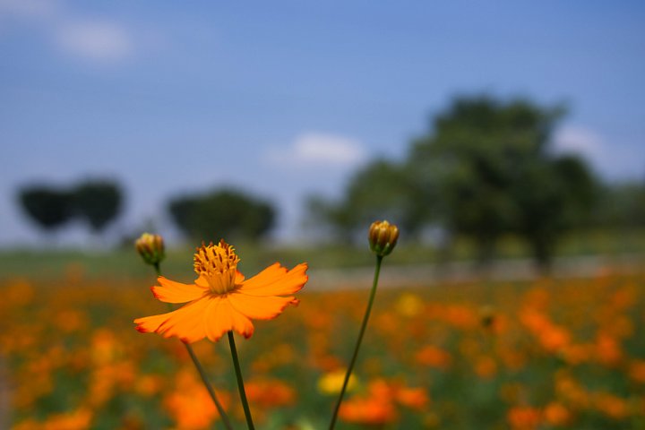b0134829_1743544.jpg
