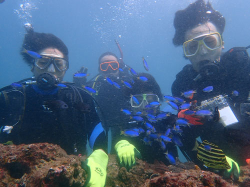 2015年8月8日(土・晴れ)甲浦_d0164831_15325291.jpg