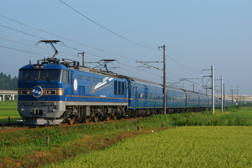 d0223231_8535061.jpg