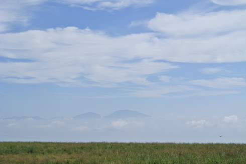 d0170835_9112574.jpg