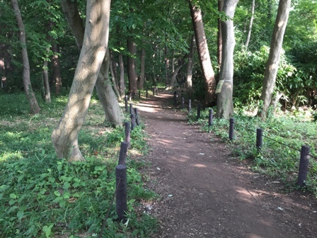 b0330040_20334886.jpg