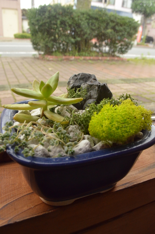 かわいいね~♪_b0207642_11532889.jpg