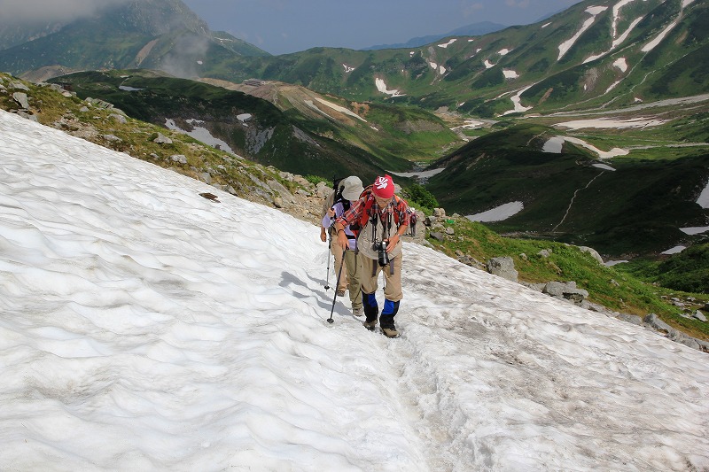 花盛りの立山　東一の越_a0185545_1323487.jpg