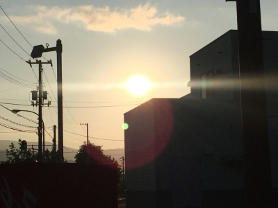 今日も暑かった( ̄O ̄;)_a0143349_18571493.jpg