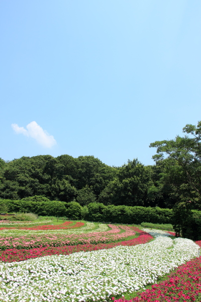 c0272958_165659100.jpg