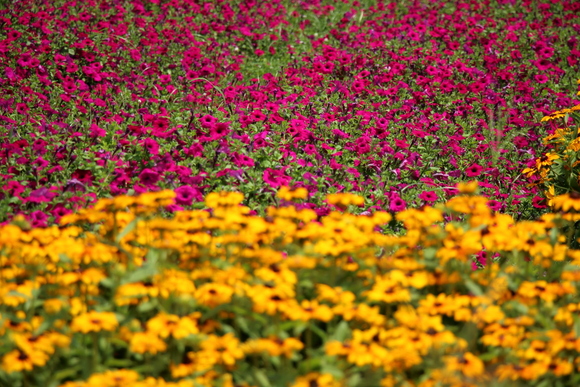 c0272958_16571251.jpg