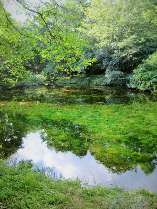 f0236260_17303695.jpg