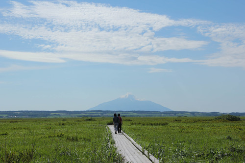 北北海道の短い夏 Ⅱ_b0138661_1615599.jpg