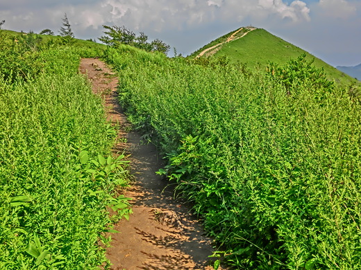 2015 夏の青春18きっぷの旅 (2) ～中央本線+小海線、飯盛山登山〰_c0006772_8735100.jpg