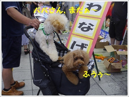 大分の夏祭り、♪♪さくら♪♪は３度目、大祐は初めてだね～_b0175688_12393512.jpg