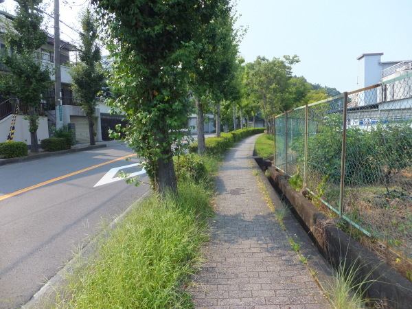 歩こう　緑地を見に行こう　（56）原町緑地_b0212898_09310448.jpg