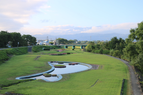 朝の散歩はいつものコース　８月９日（立秋・初候）　涼風至る・・・２_c0075701_14582337.jpg