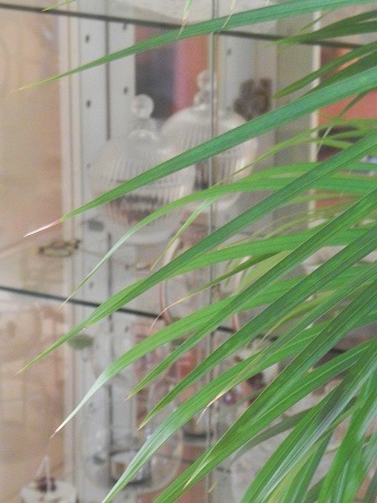 c0152002_13412121.jpg