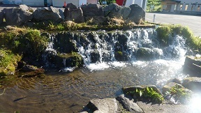 a0177314_14190184.jpg