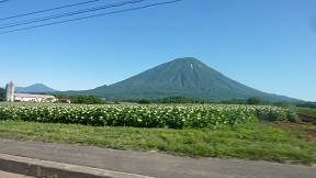 a0177314_14194463.jpg