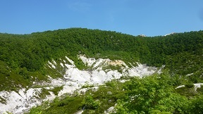 a0177314_23052149.jpg