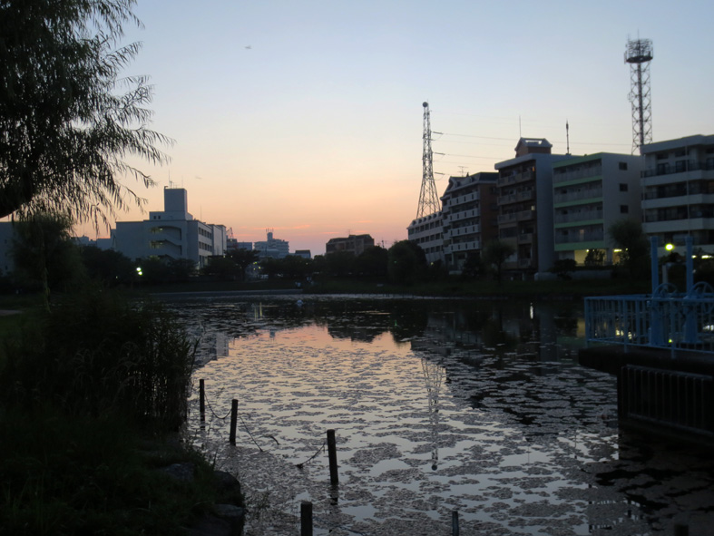 ■帝国の慰安婦、貧困大国アメリカ、シベリア抑留、そしていつもの夕暮れ_d0190217_2365423.jpg