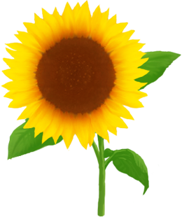 a0125023_16321871.png
