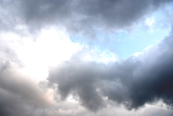 雷と犬たち_e0103024_00503952.jpg