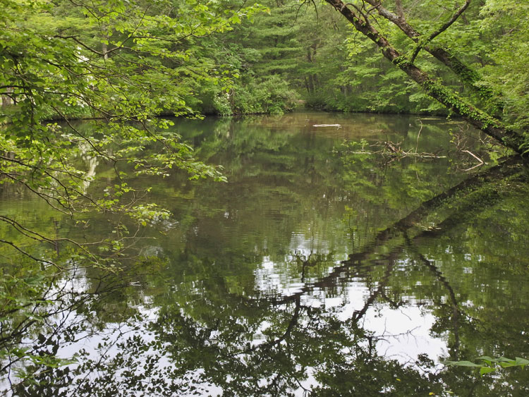 f0116528_2064225.jpg